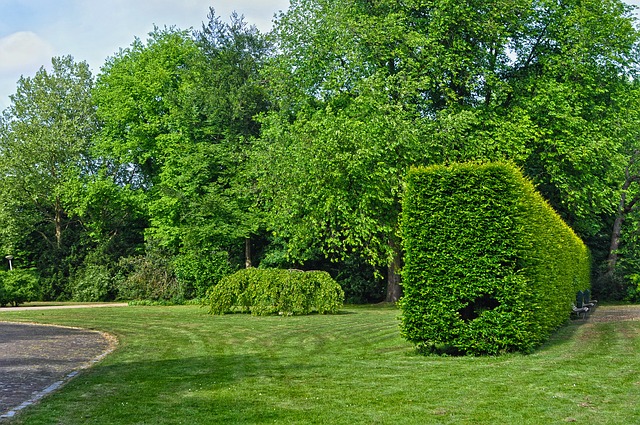městský park